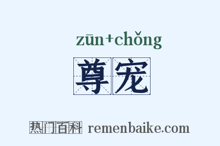 尊宠是什么意思的图片